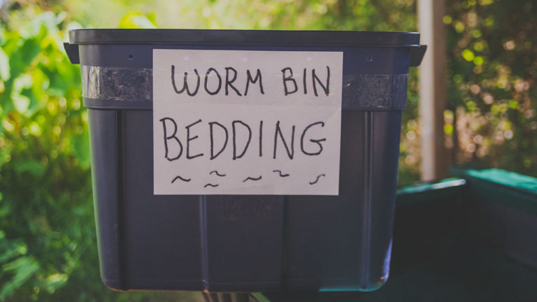 Worm Bedding Blitz!